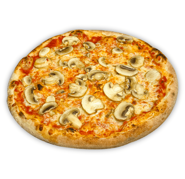Fungi min.png